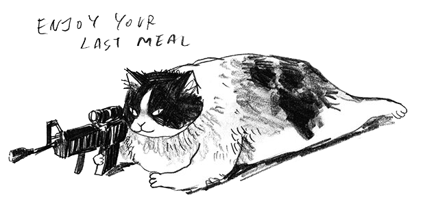 review_cat